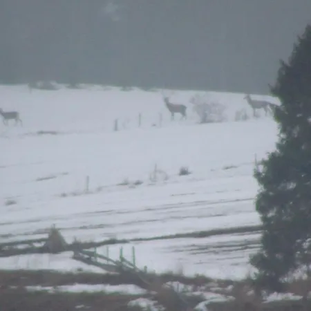 Nocleg ze śniadaniem Spiski