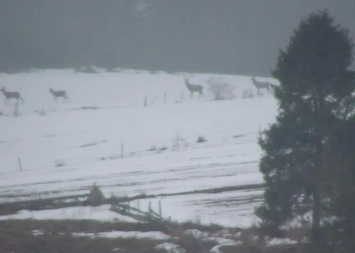 فندق مبيت وإفطار Spiski