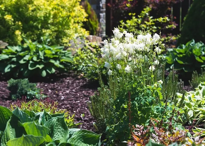 Spiski فندق مبيت وإفطار